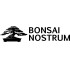 Bonsai Nostrum